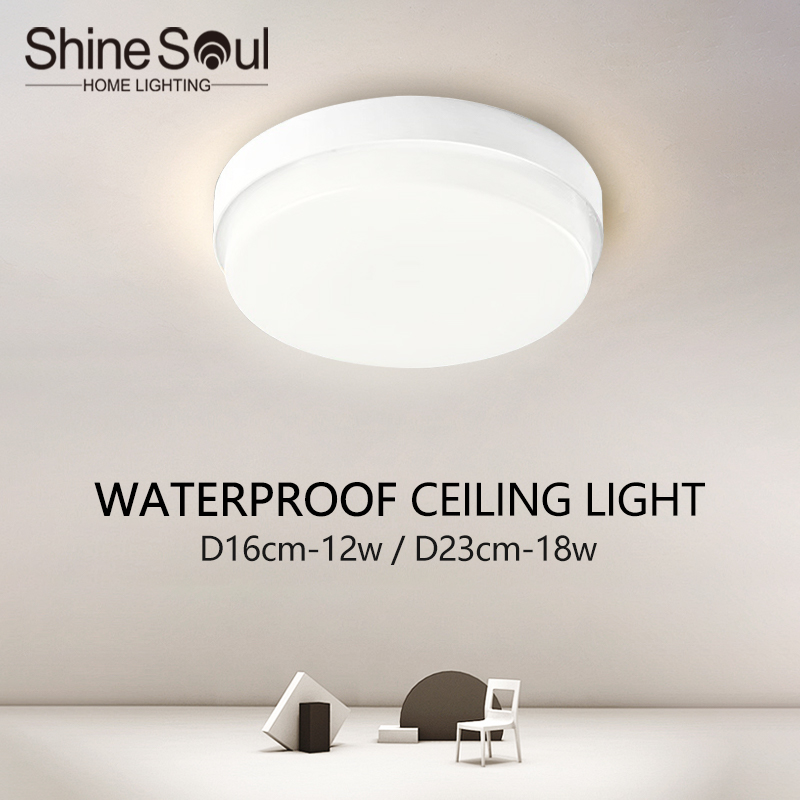Modern IP65 Waterproof Ceiling - Outdoor Lighting Year Round recension och pris