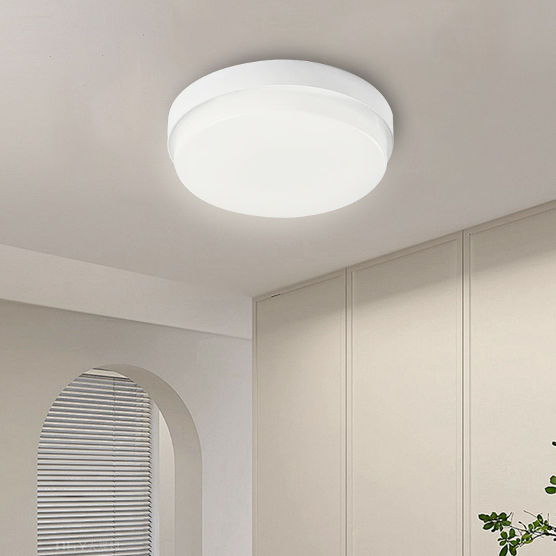 Modern IP65 Waterproof Ceiling - Outdoor Lighting Year Round recension och pris