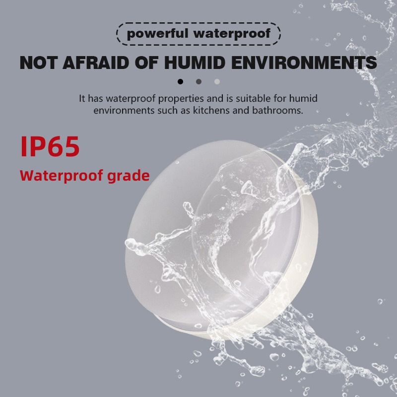 Modern IP65 Waterproof Ceiling - Outdoor Lighting Year Round recension och pris